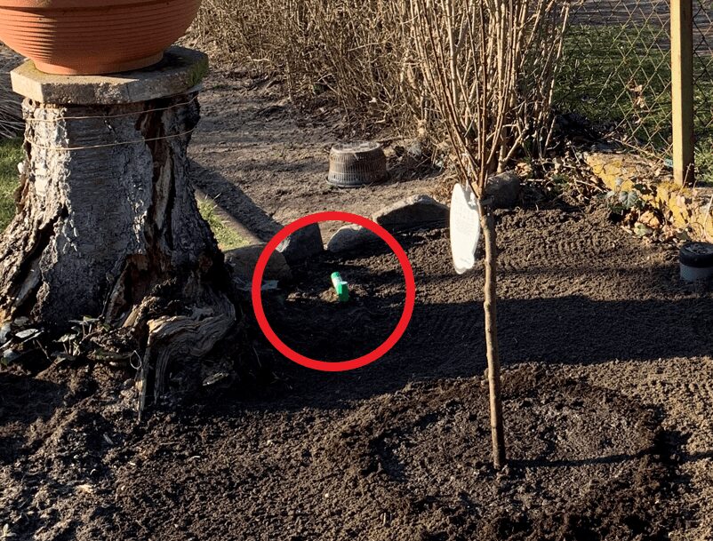 Bodenfeuchte-Sensor im Beet an der Einfahrt