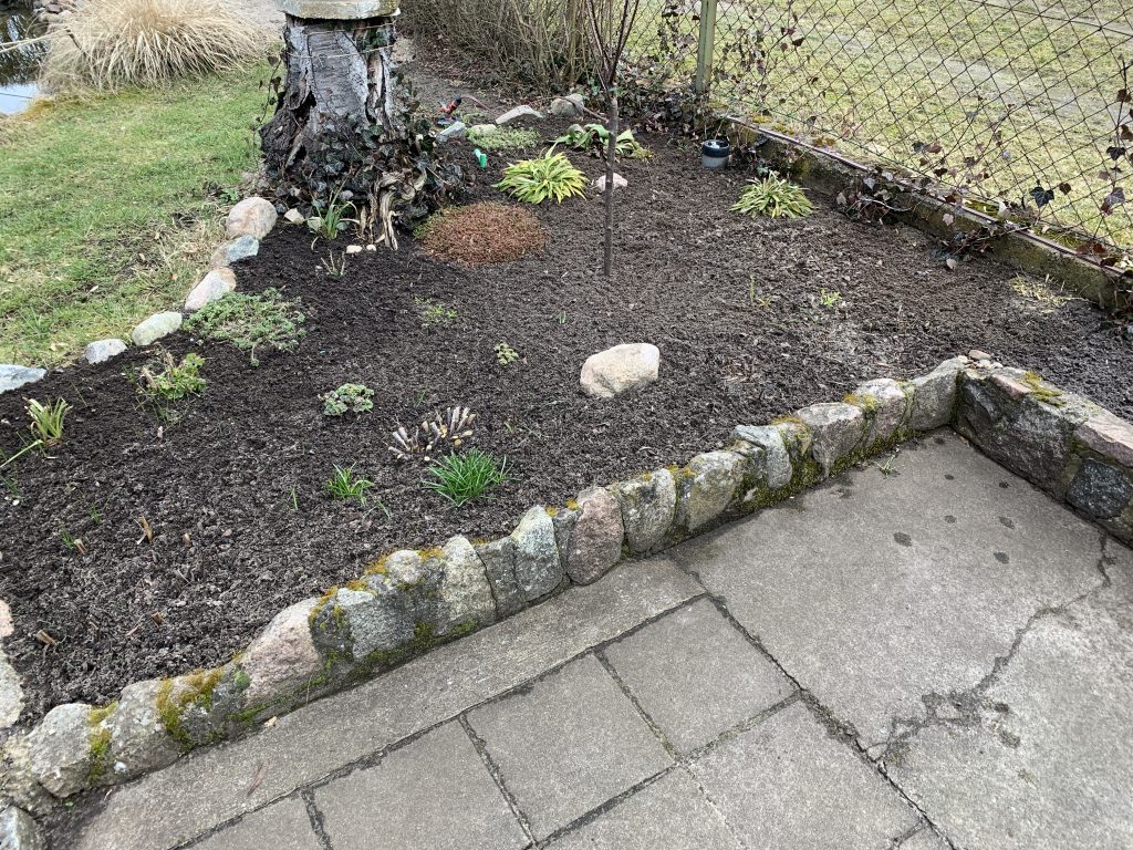 Gereinigtes Staudenbeet
