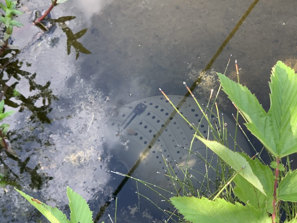 Neue Teichpumpe im Einsatz