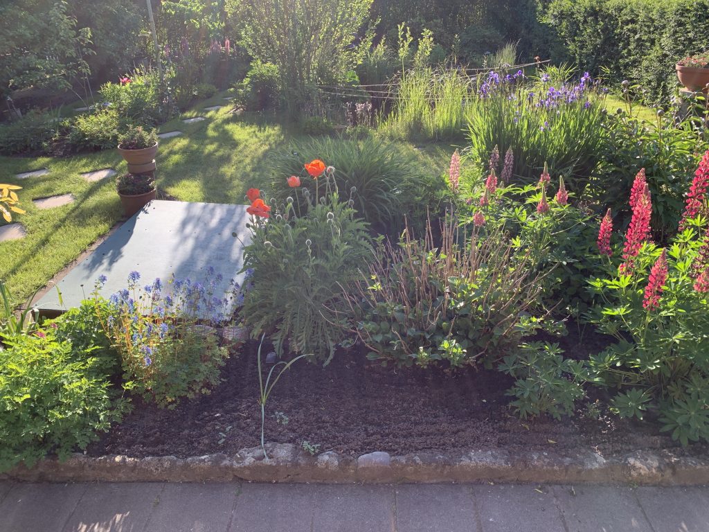 Beet vor unserer Terrasse
(Aufnahme vom 30. Mai 2023)