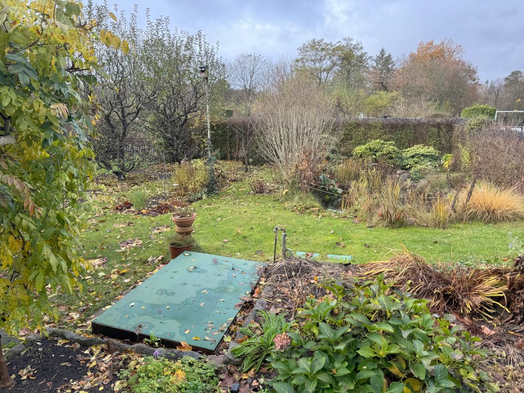 Herbstfeeling im Kleingarten (2023)