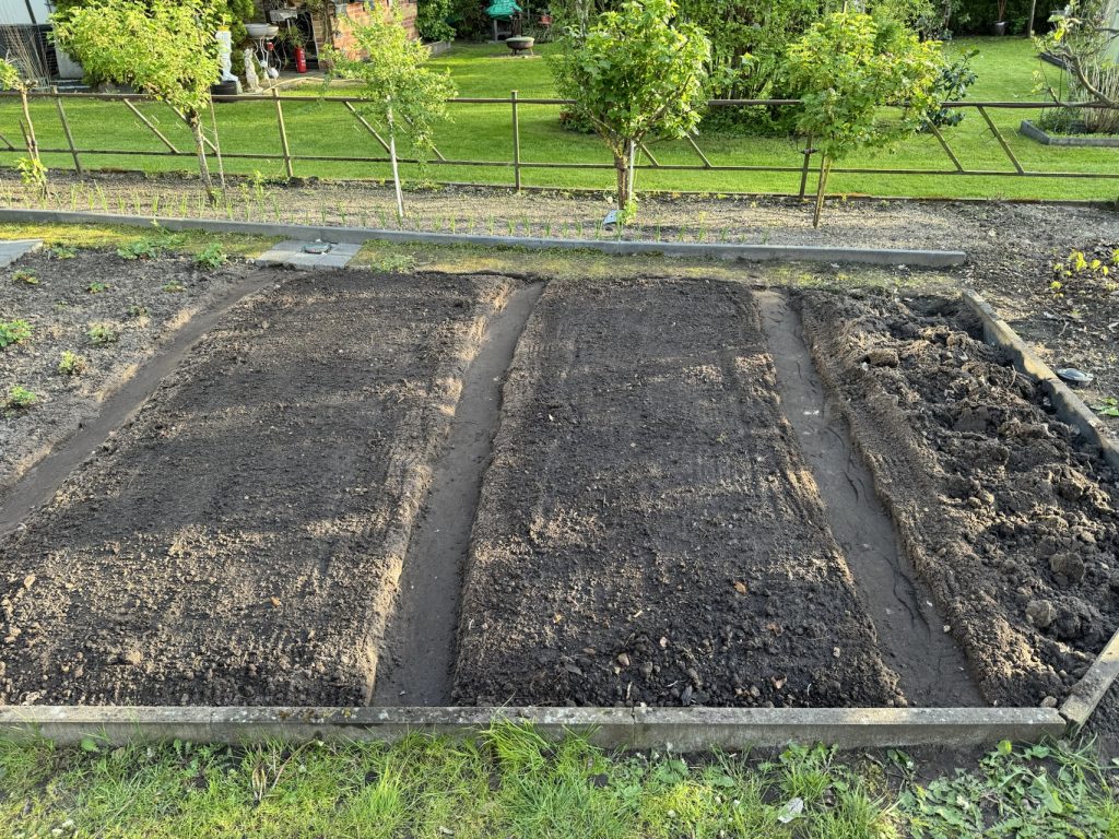 Fertig angelegter Kartoffelacker