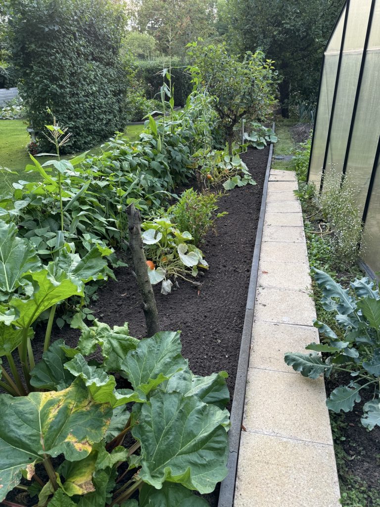 Der Gartenzaun ist zugewachsen
(Aufnahme vom 18.8.2024)