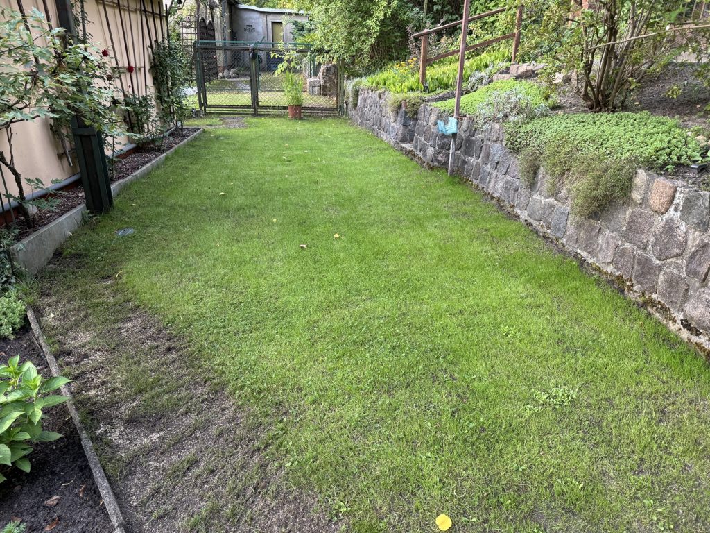 Da war ja noch was! Der vermooste Trampelpfad am "Minibeet"