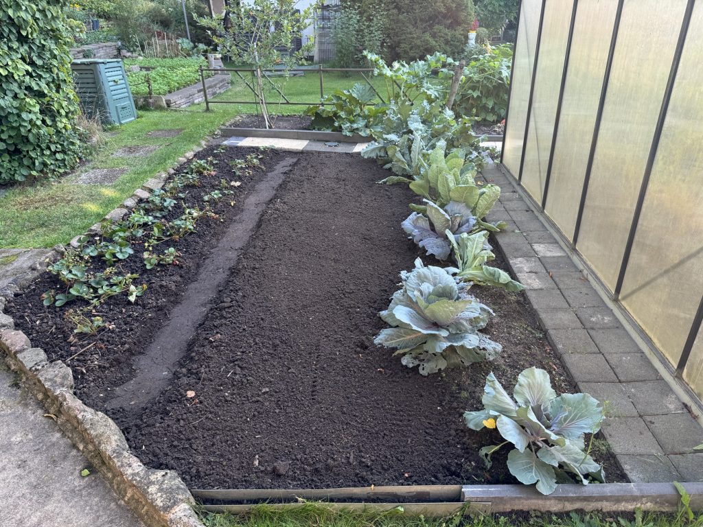 Rot- und Blumenkohl wurden auch gleich noch in "Reih und Glied" gebracht