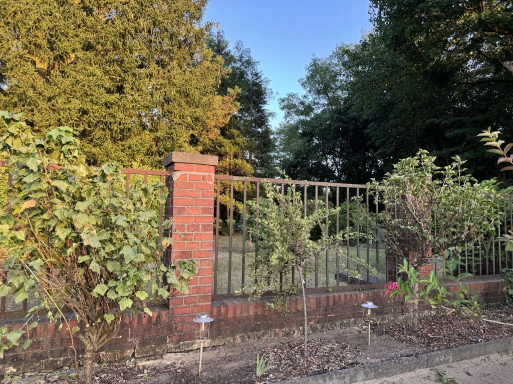 Unserer Meinung nach sind die Beerensträucher oben am Friedhof besser aufgehoben (Foto vom 6.9.2024)
