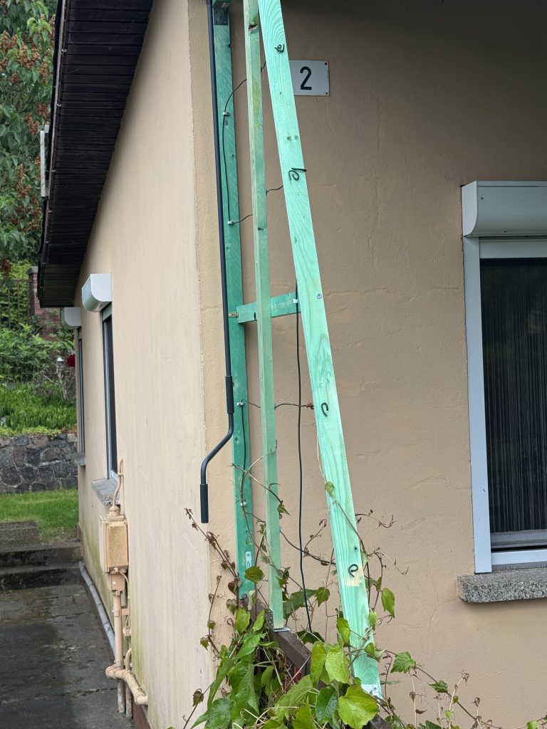 Rankehilfe für den neuen Sichtschutz steht