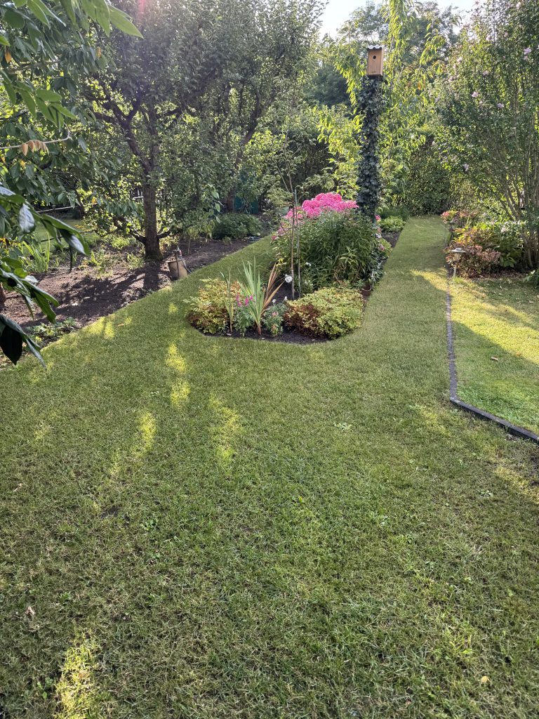 Frühblüherbeet im Sommer (aufgenommen am 23.08.2025)