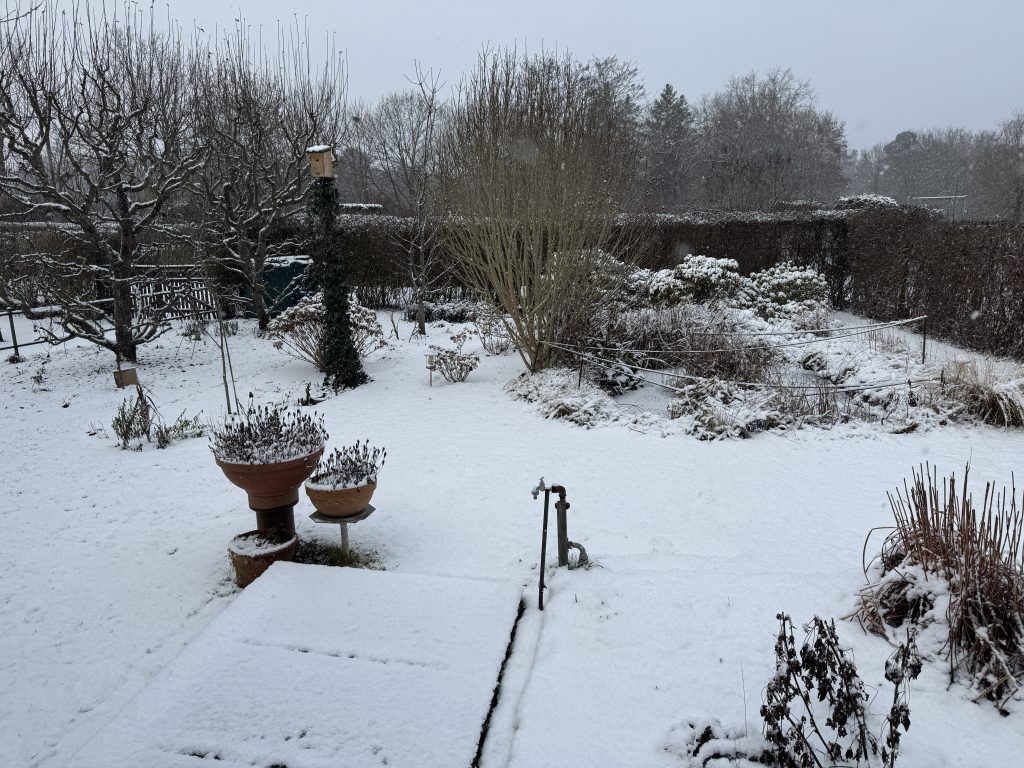 Tagsüber leichte Plusgrade und Schnee, nachts Frost. (Foto vom 3.1.2026)