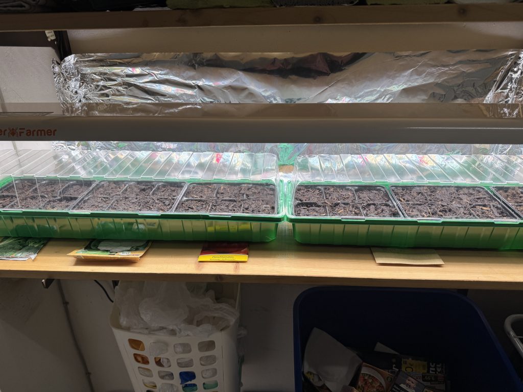 Blumenkohl, Brokkoli, Tomate und Paprika sind ausgesät (Foto vom 7. Februar 2026)