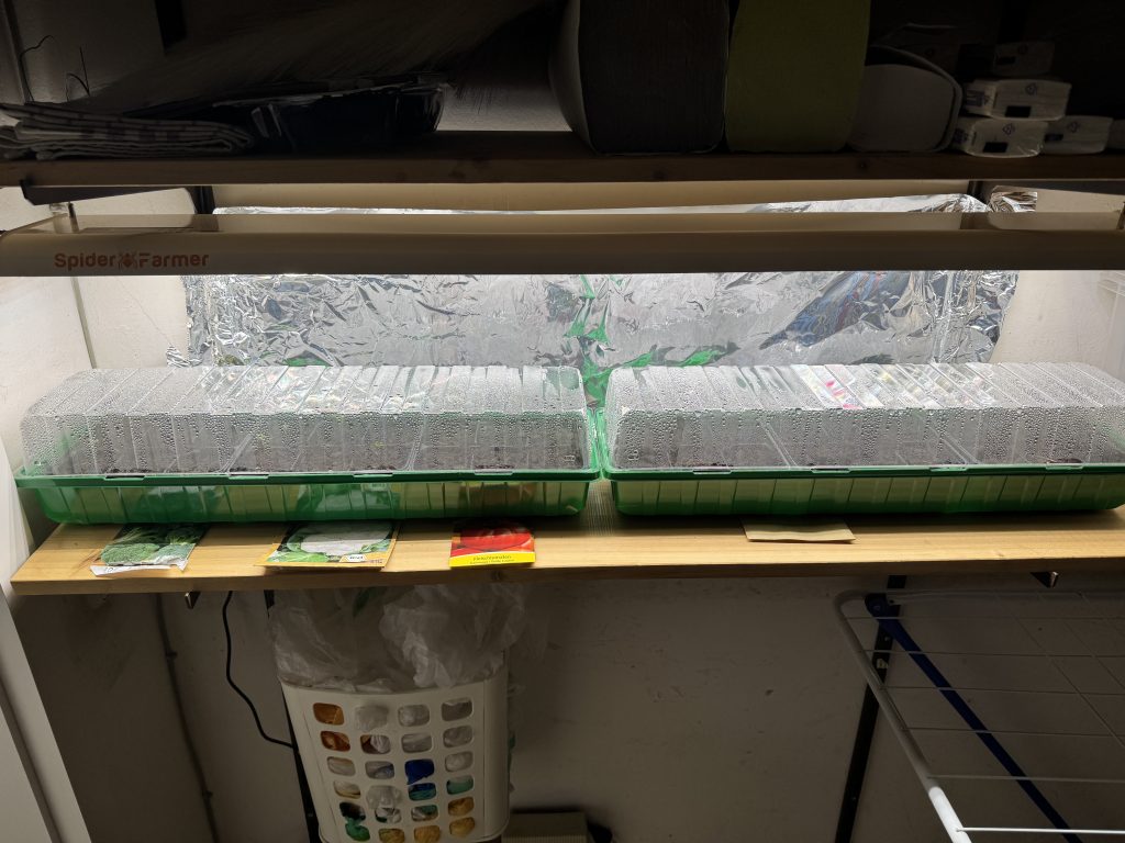 Die Pflanzenlampe erzeugt auch ordentlich Wärme, wie unschwer an der beschlagenen Plastikabdeckung zu erkennen (Foto vom 16. Februar 2026)